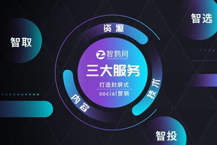智鵲網(wǎng) 定制專屬微表單，助力企業(yè)完成精準(zhǔn)營(yíng)銷
